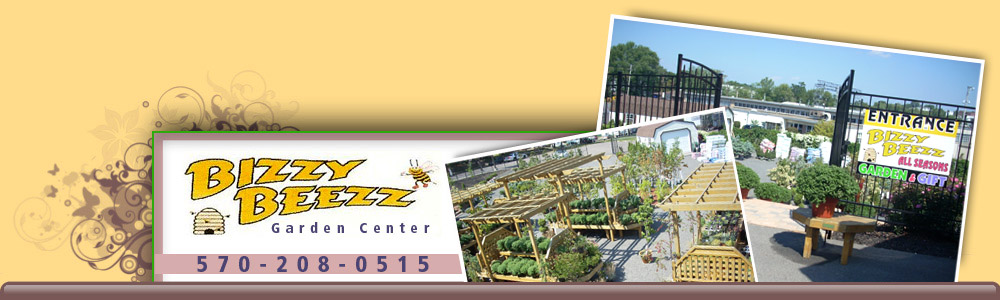 Bizzy Beezz Garden Center
